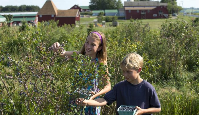 Critz Farm Critz Farm
