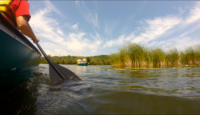 Canoe Rentals Canoe Rentals