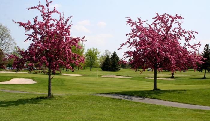 CenterPointe Golf Club Canandaigua NY 14424