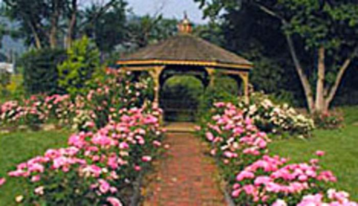 Cutler Botanic Garden Binghamton Ny 13905