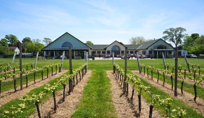 Duck Walk Vineyards Water Mill Ny 11976