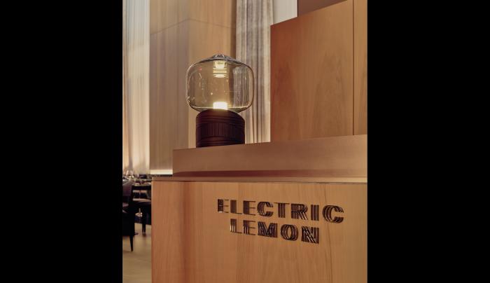 electric lemon electric lemon