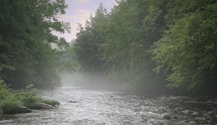 Antrim Streamside Antrim Streamside