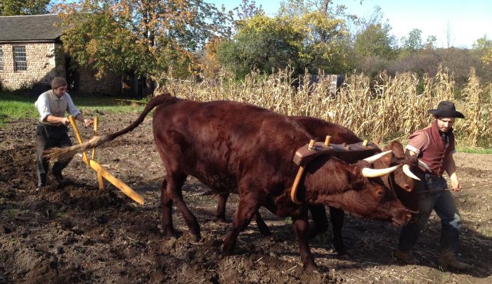 Plowing Plowing