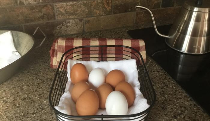 Farm Fresh Eggs Farm Fresh Eggs