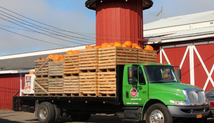 Load of Pumpkins Load of Pumpkins