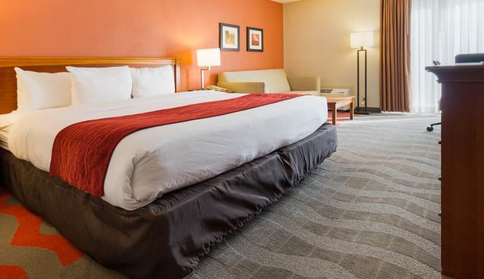 Executive King Room - King Bed, Sleeper Sofa, Mini-Fridge Executive King Room - King Bed, Sleeper Sofa, Mini-Fridge