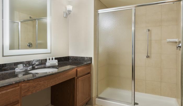 King Studio Suite Shower King Studio Suite Shower
