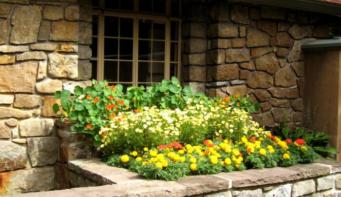 Graycliff Kitchen Flower Boxes Graycliff Kitchen Flower Boxes