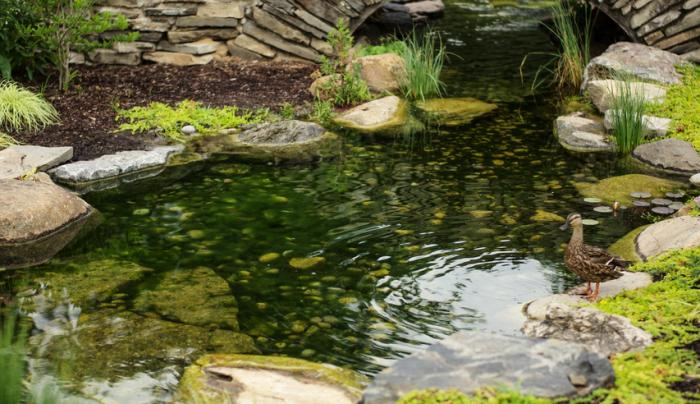 About Central Park Rose Garden