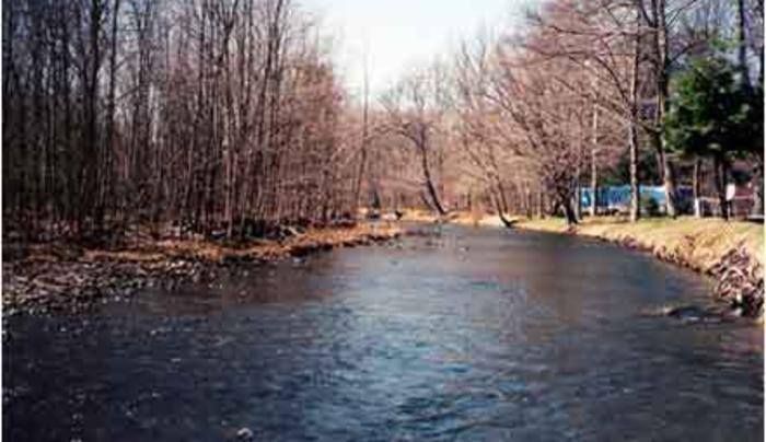 Neversink River Campground | Woodbourne, NY 12788
