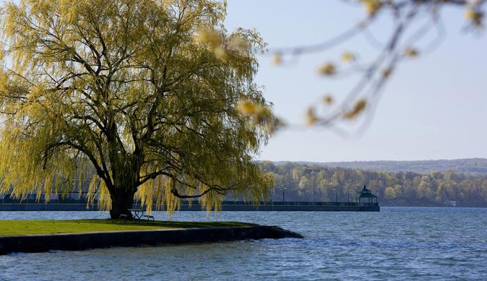 Owasco Lake Auburn Ny 13021