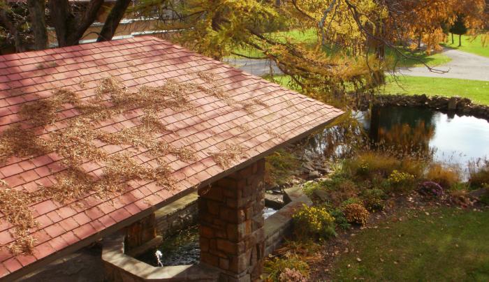 Graycliff Porte Cochere Autumn Graycliff Porte Cochere Autumn