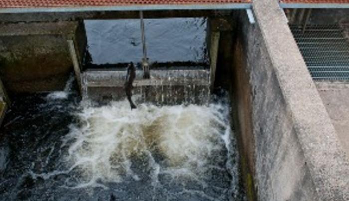 Nys Salmon River Fish Hatchery Altmar Ny 13302