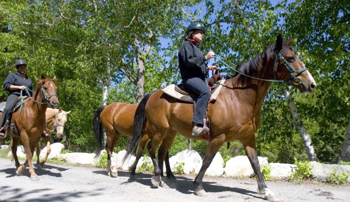 Horseback riding.jpg Horseback riding.jpg