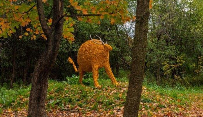 Fall - Stone Quarry Hill Art Park Fall - Stone Quarry Hill Art Park