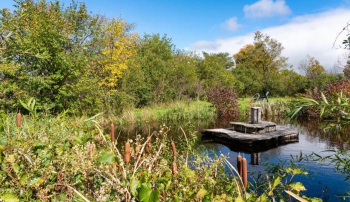 Fall - Stone Quarry Hill Art Park Fall - Stone Quarry Hill Art Park