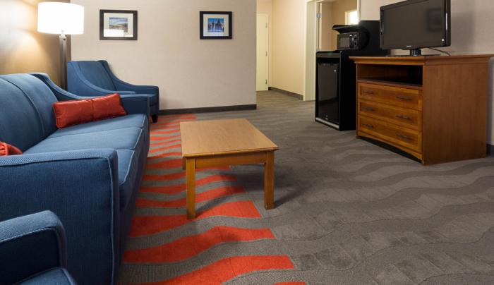 Living Room w/ Sleeper Sofa, Mini-Fridge, Microwave - Suite Living Room w/ Sleeper Sofa, Mini-Fridge, Microwave - Suite