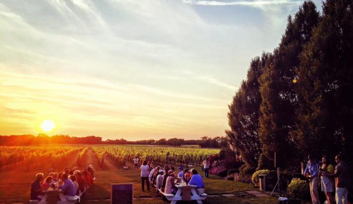 Vineyard Dinner sunset Vineyard Dinner sunset