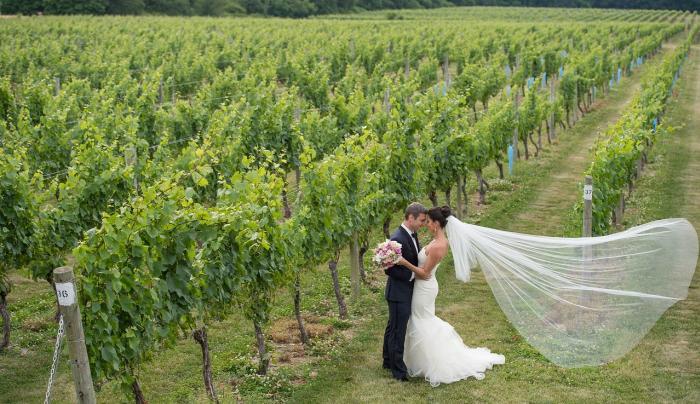 Wedding at Bedell Cellars Wedding at Bedell Cellars