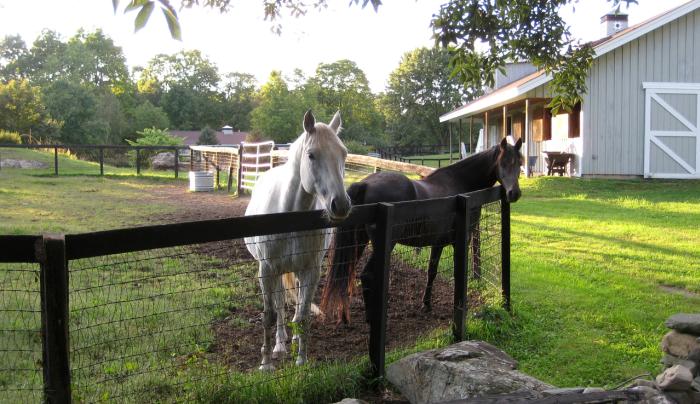 Whistle Wood Farm Rhinebeck NY 12572