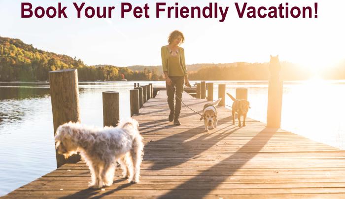 pet friendly vacation pet friendly vacation