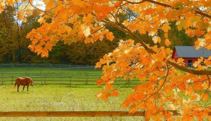Wonderful scenery Wonderful scenery