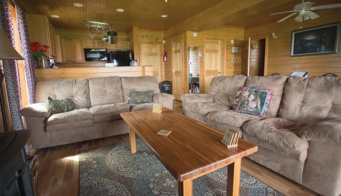 Photo of the living room inside of the Canandaigua Cottage Photo of the living room inside of the Canandaigua Cottage