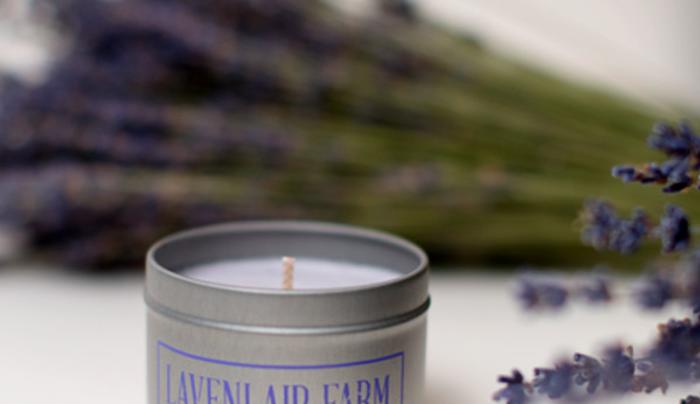 Lavender Lotion Candle Lavender Lotion Candle