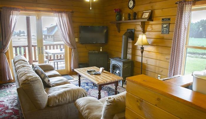 cobtree-vacation-rentals-canadice-living-room cobtree-vacation-rentals-canadice-living-room