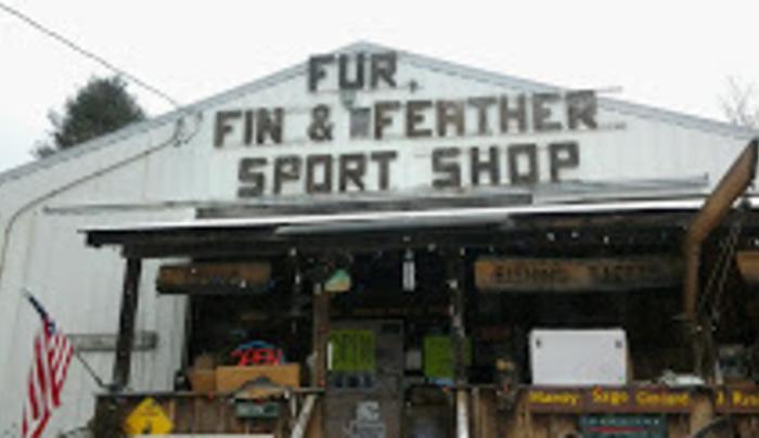 Fin Feather Fur Near Me Exploring the Fascinating World of Aquatic, Avian, and Mammalian Tissues