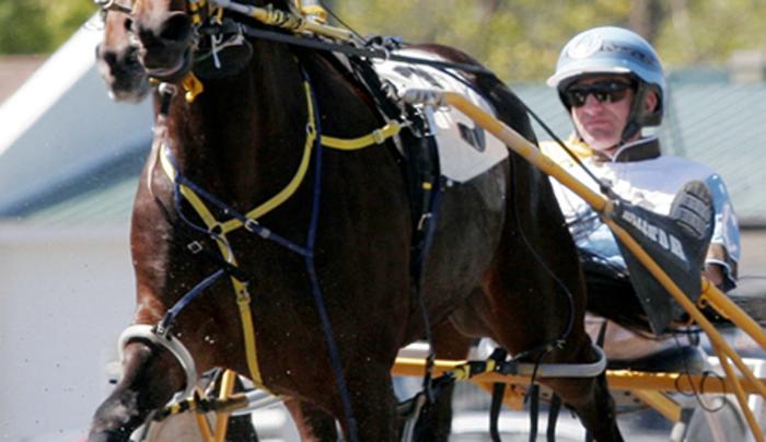 Saratoga Harness Hall Of Fame Museum Saratoga Springs Ny 12866