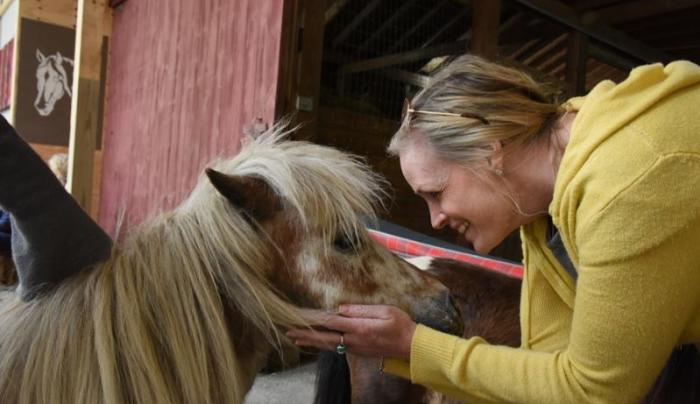Connect with our horses. Connect with our horses.
