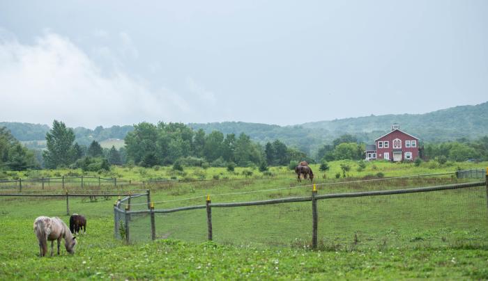 Exterior Exterior