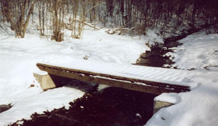 Phillips Creek Nysdec Forest Alfred Station Ny 14803