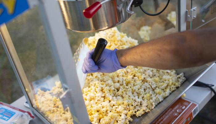 Milestone Movies Rochester, NY 14623