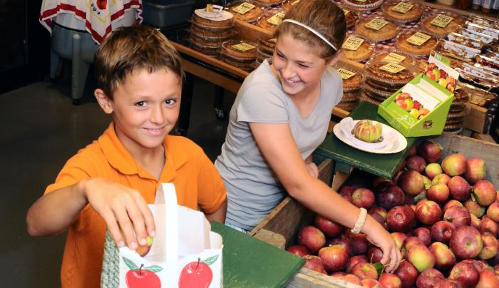 Kids choosing apples from bins Kids choosing apples from bins
