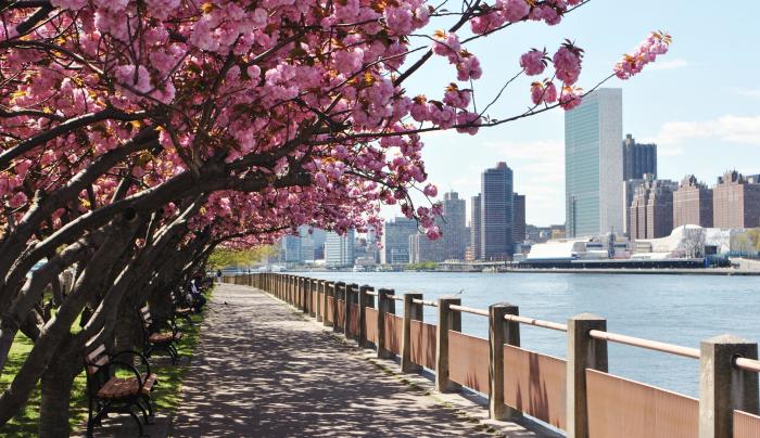 Roosevelt Island Roosevelt Island Ny 10044