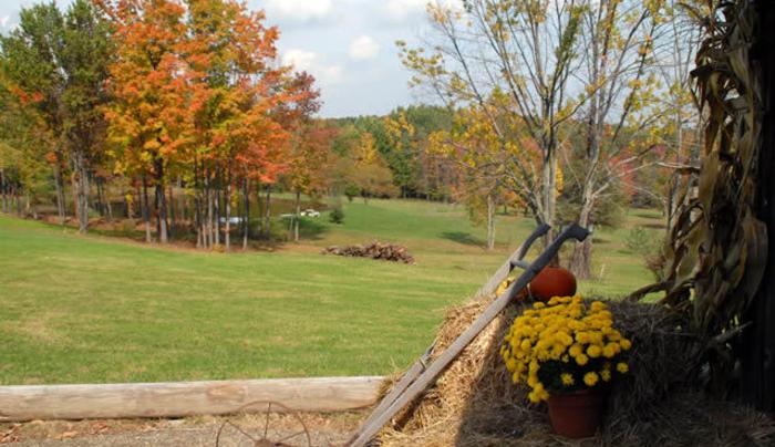 Rushford Lake Cottage Rentals Rushford Ny 14777