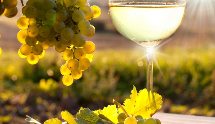 Grape Escape Picture Grape Escape Picture