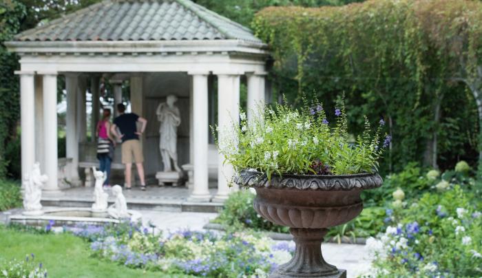 A man walks through the gardens at Sonnenberg Mansion in Canandaigua A man walks through the gardens at Sonnenberg Mansion in Canandaigua