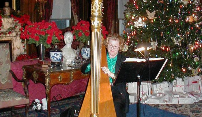 Harpist.JPG Harpist.JPG