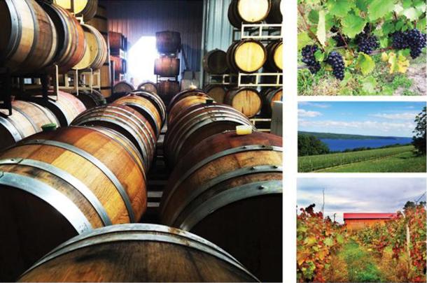 Hector Wine Company