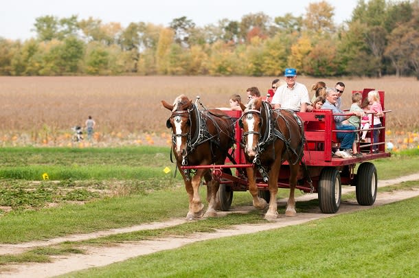 Great Lakes Farm