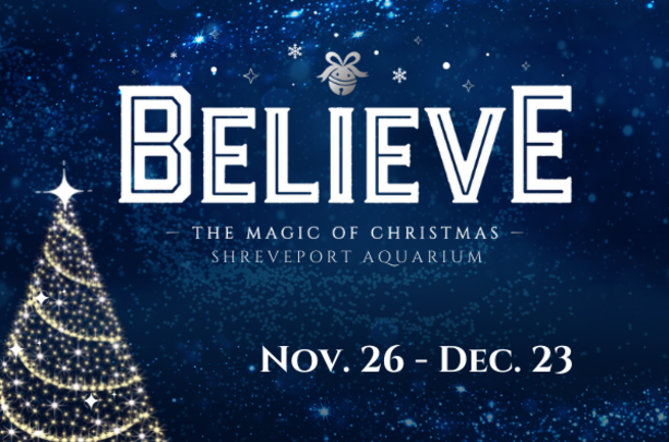 Christmas Dinner Locations For 2021 For Shreveport. La Believe Lights The Night