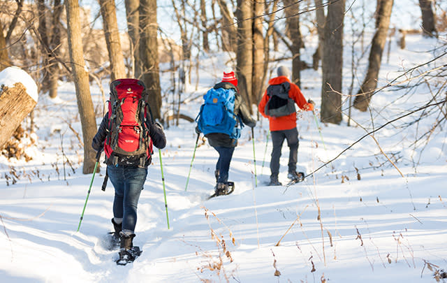February Insider Winter Walk Article Image
