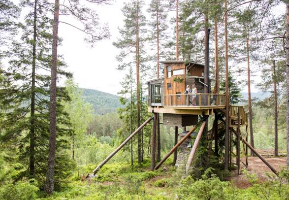 Trehyttene i Gjerstad