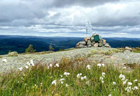 Snøfjell - tur/retur 6 km