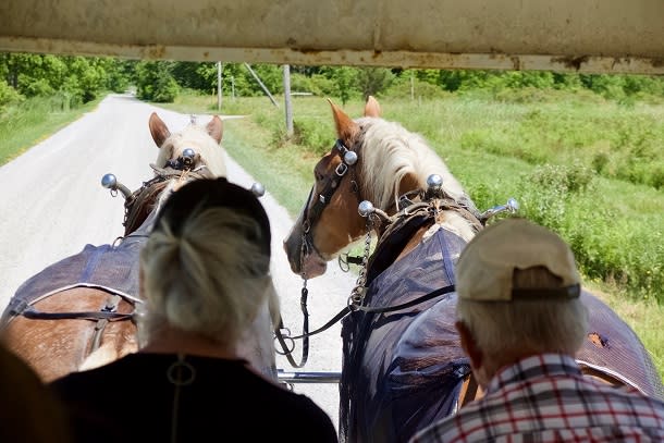 horse drawn tour