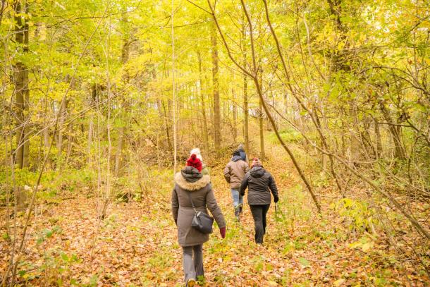 Group hiking in Oxford county